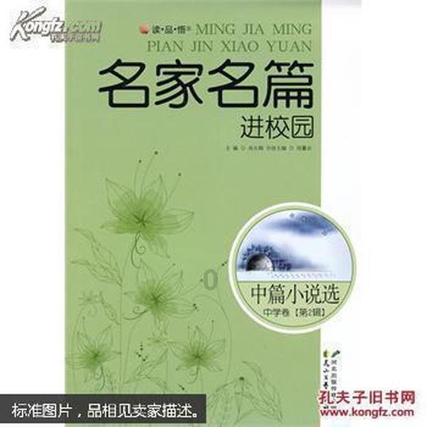我的老师外貌特征描写作文三百字游戏画面